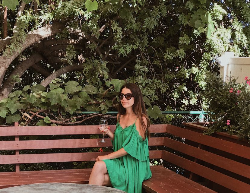 Malibu: Vintage VW Sightseeing Tour and Wine Tasting - What the guide adds, and where the tour can fall short