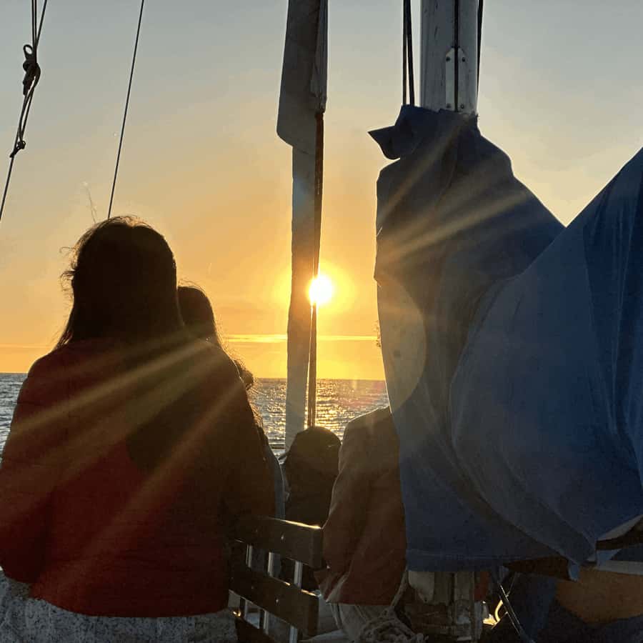 Marina del Rey: 1-Hour Boat Tour - Key points at a glance