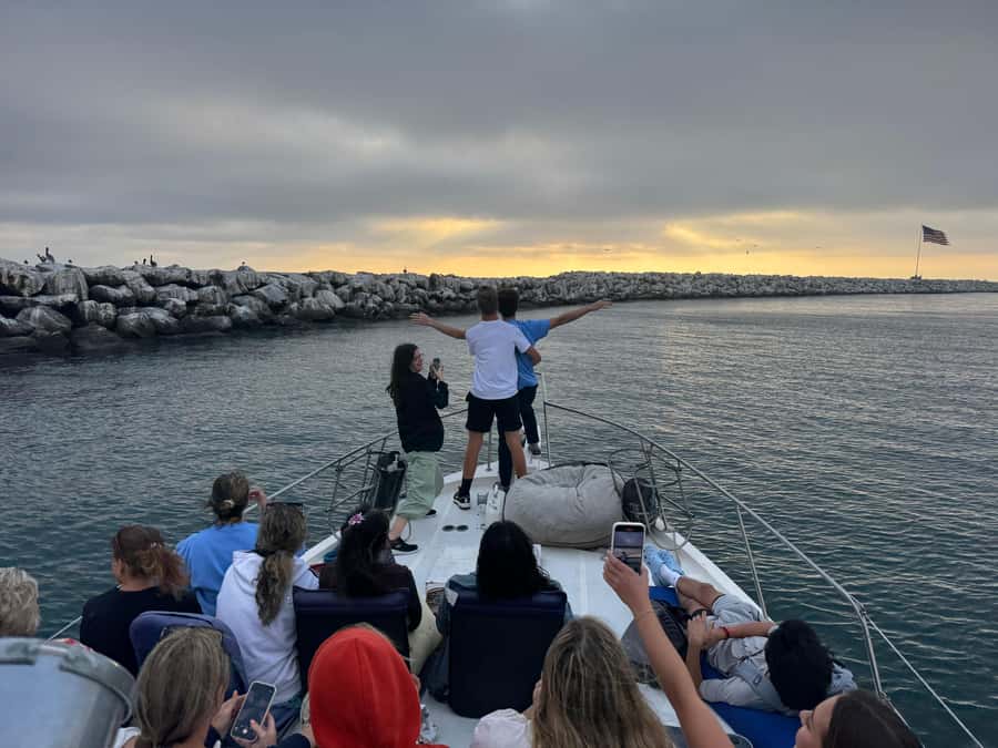 Marina del Rey: 1-Hour Boat Tour - Sea lions, dolphins, and the wildlife watch