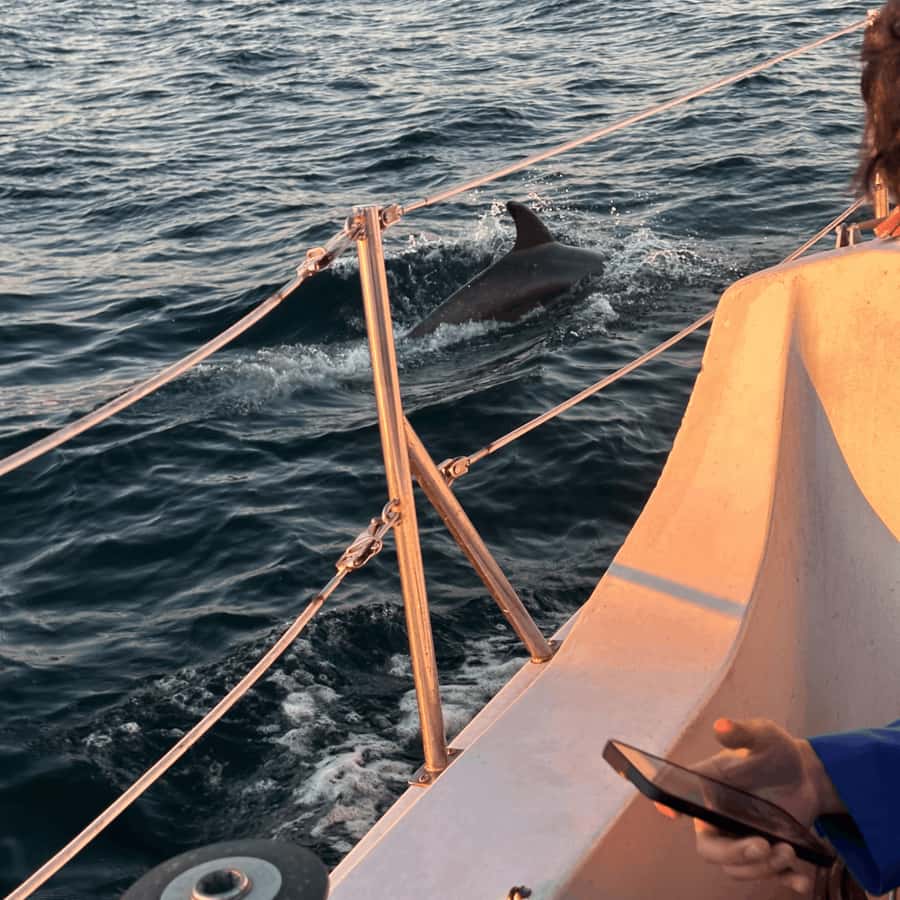 Marina del Rey: 1-Hour Boat Tour - The sunset factor and the captain’s flexibility