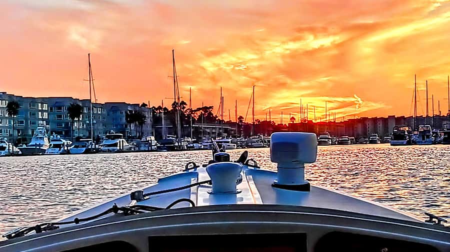 Marina Del Rey Luxury Boat Cruise Wine, Charcuterie Sealions - Key points to know before booking