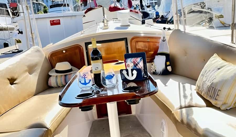 Marina Del Rey Luxury Boat Cruise Wine, Charcuterie Sealions - Looking for sea lions and birds