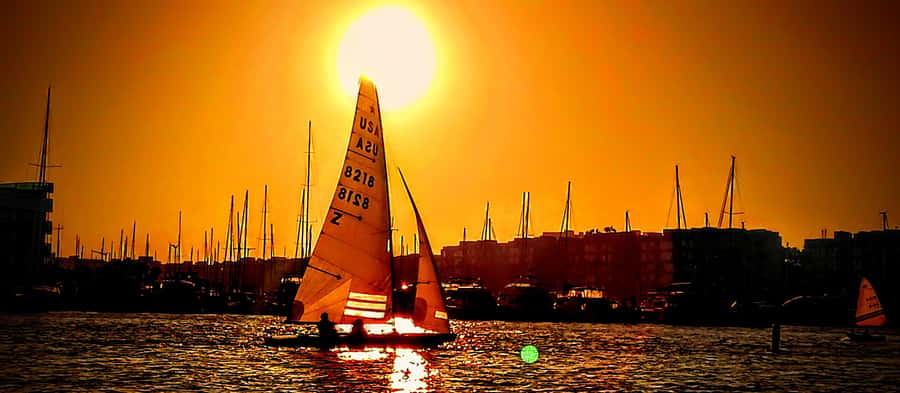 Marina Del Rey Luxury Boat Cruise Wine, Charcuterie Sealions - Choosing morning, afternoon, or sunset