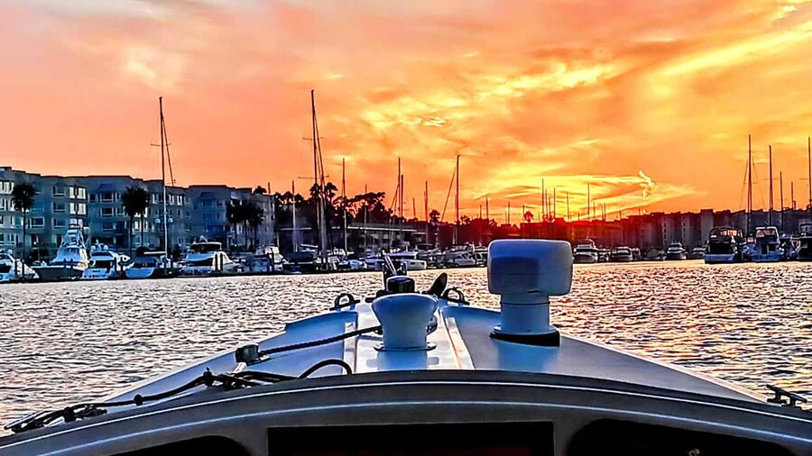 Marina Del Rey: Romantic Cruise, Wine, Cheese, Sealions - Starting at Brizo Bar & Restaurant