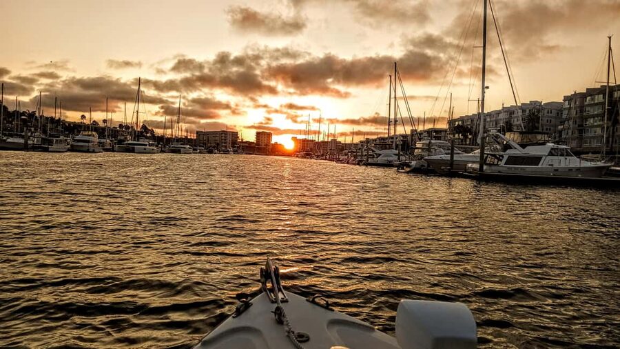 Marina Del Rey: Romantic Cruise, Wine, Cheese, Sealions - Sea lions, birds, and the natural side of the harbor