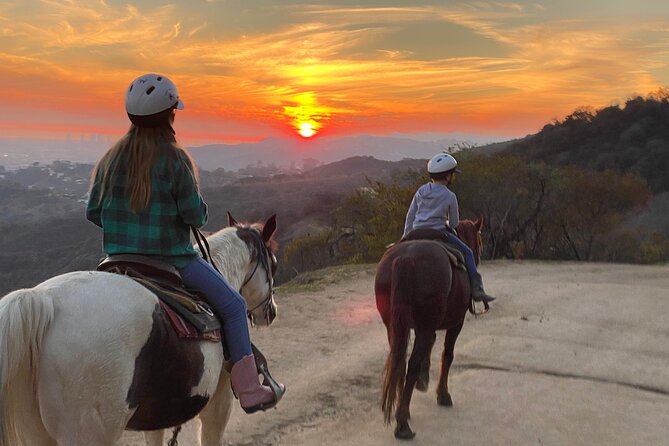 Mulholland Trail Horseback Tour - A one-hour ride above Hollywood