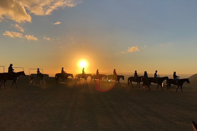 Mulholland Trail Horseback Tour - Practical ways to enjoy the hour