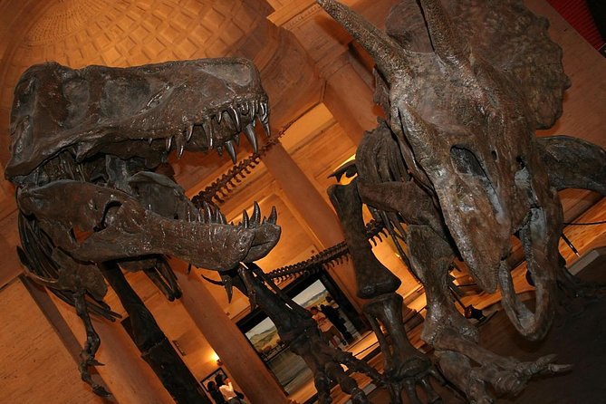 Natural History Museum of Los Angeles County Admission - Key points to know before you go