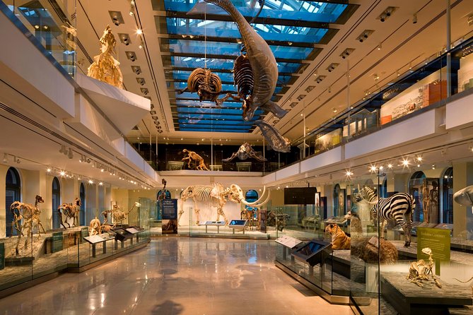 Natural History Museum of Los Angeles County Admission - Becoming Los Angeles connects science to the city
