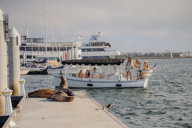 Private E-Boat Cruise: Wine, Charcuterie and Sea Lion Spotting - A Quiet Start in Marina del Rey
