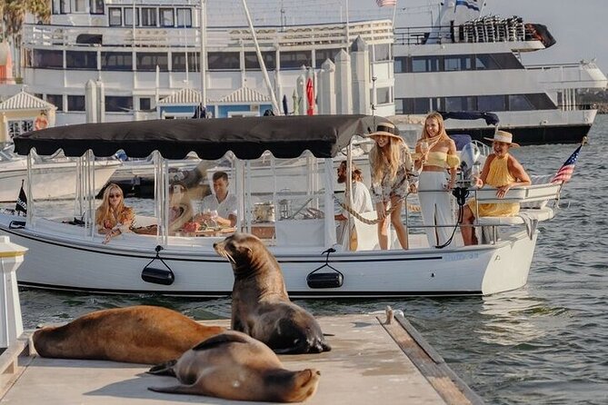Private E-Boat Cruise: Wine, Charcuterie and Sea Lion Spotting - Looking for Sea Lions Near Marina del Rey