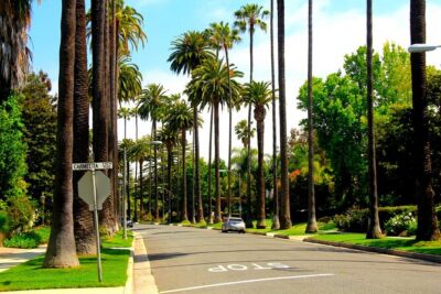 Private Getty Center to Griffith Observatory Guided Tour