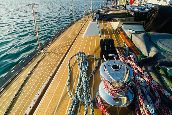Private Therapy Sailing Adventure - Wildlife can be the day’s highlight