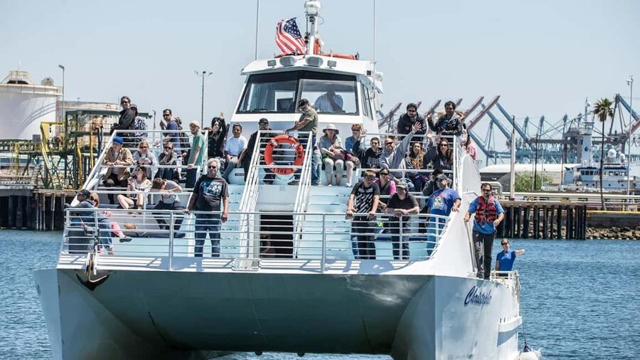 San Pedro: West Harbor LA Dolphin & Whale Watching Cruise - Learning from Aquarium educators and the crew