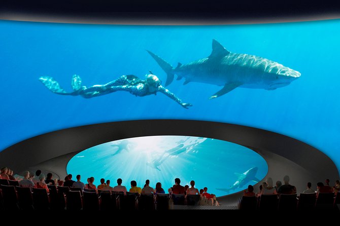Skip the Ticketing Line: Aquarium of the Pacific General Admission Ticket - How long to stay and how to plan your route