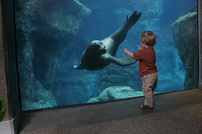 Skip the Ticketing Line: Aquarium of the Pacific General Admission Ticket - Food, breaks, and the waterfront afterward