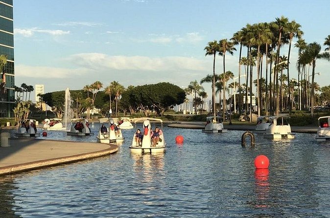 Swan Boat Rental at Rainbow Lagoon in Long Beach - What you see during the one-hour route